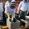 Hands On Class - Installing Bees 1 (3)